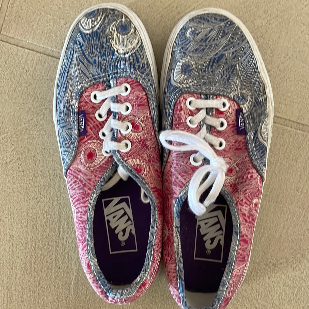 Fun Vans